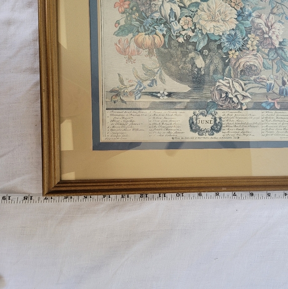 🎩Vintage Collection of Rob Furber Gardiner at Kensington (June)📌 FINAL PRICE - Picture 6 of 6